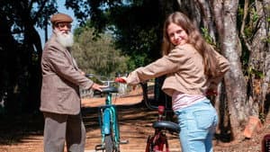 Sobre Filmes e Bicicletas — foto 2