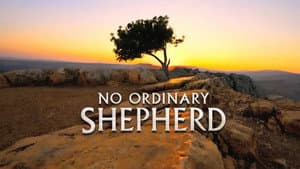 No Ordinary Shepherd — foto 11