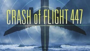 Crash of Flight 447 — foto 1