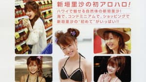 新垣里沙 ～アロハロ!～ — foto 1