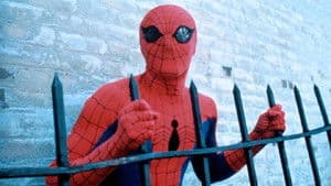 El asombroso Spider-Man — foto 1