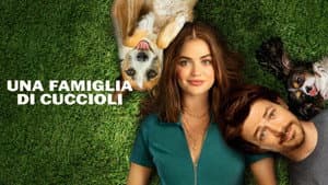 Amor De Cachorros — foto 11