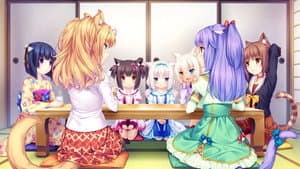 Nekopara — foto 2