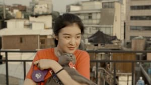 나만 없어 고양이 — foto 1