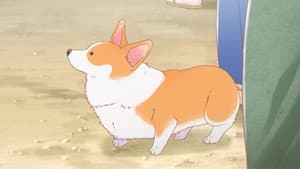 Episodio 9