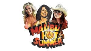 Malibu Hot Summer — foto 1