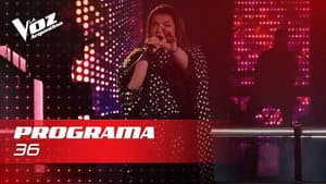 Episodio 36