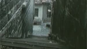 Paranoja — foto 7