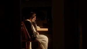 Our Shadow — foto 5