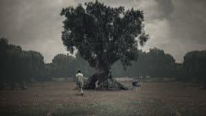 El vínculo — foto 2
