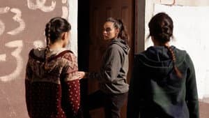 Episodio 7