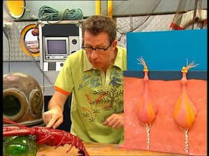 Episodio 385