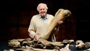 Attenborough and the Mammoth Graveyard — foto 2