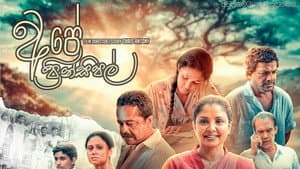අපේ ප්‍රින්සිපල් — foto 1