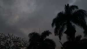 Ínsito — foto 1