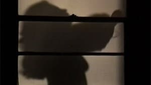 Crushed — foto 1
