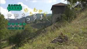 Episodio 12