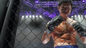 Fists of Legend — foto 6
