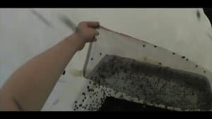 Een Gebeuren — foto 1
