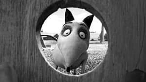 Frankenweenie — foto 4