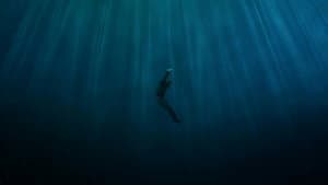 Captive — foto 4
