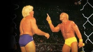 WCW Halloween Havoc 1994 — foto 1