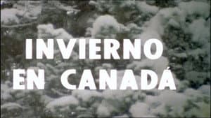 Episodio 10