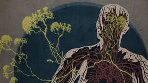 The Creeping Garden — foto 2
