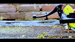 Remco & Piet en de worm — foto 3