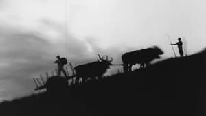 O Canto da Saudade — foto 2