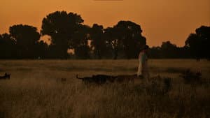 La mujer de los perros — foto 4