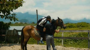 O Cavalo de Pedro — foto 7