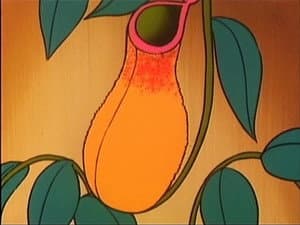 Episodio 8