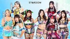 STARDOM GW TOUR 2026 in KOCHI — foto 2