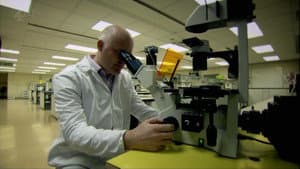 The Great Sperm Race — foto 6