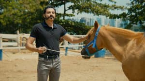 O Cavalo de Pedro — foto 9