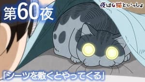 Episodio 60
