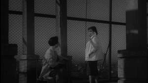 踊子 — foto 4
