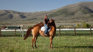 Storm Rider — foto 1