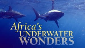 Africa's Underwater Wonders — foto 1