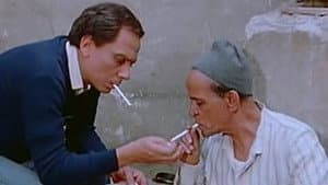 الحريف — foto 4