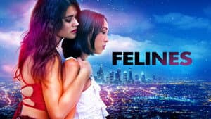 Felines — foto 1