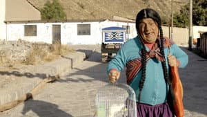 La paisana Jacinta: En búsqueda de Wasaberto — foto 5