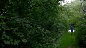 Enter the Green Abyss — foto 1