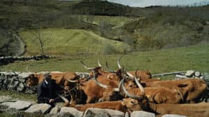 Volta à Terra — foto 3