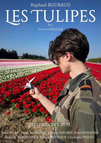 Les Tulipes