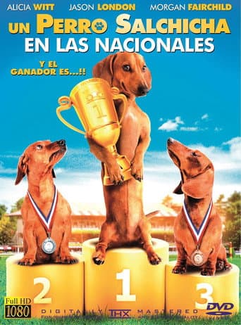 Un Perro Salchicha en las Nacionales