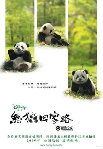 El Camino del Panda