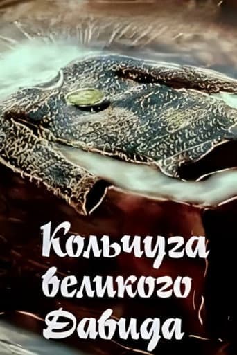 დიდი დავითის ჯაჭვის პერანგი