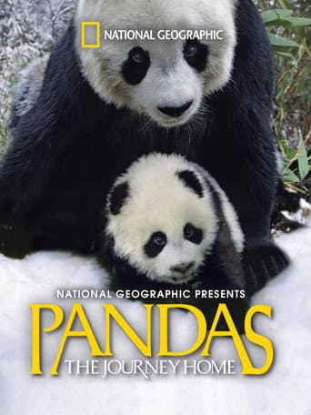 Pandas: El camino a casa